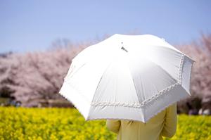 良いフコイダンを見つけるために